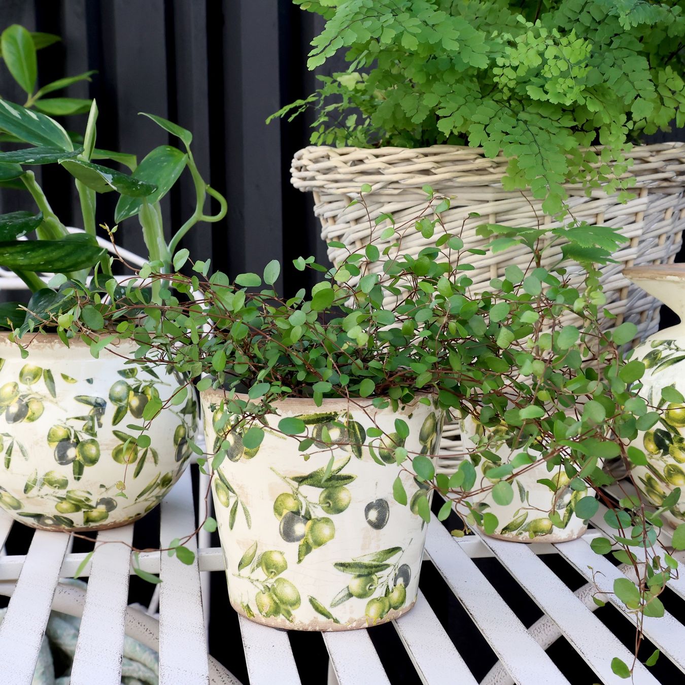 Vasi per fiori: Übertopf Höhe 13 cm mit Olivenmuster – Nuovo e nell'imballaggio originale da Innertkirchen venduto da Glatthard-Interior