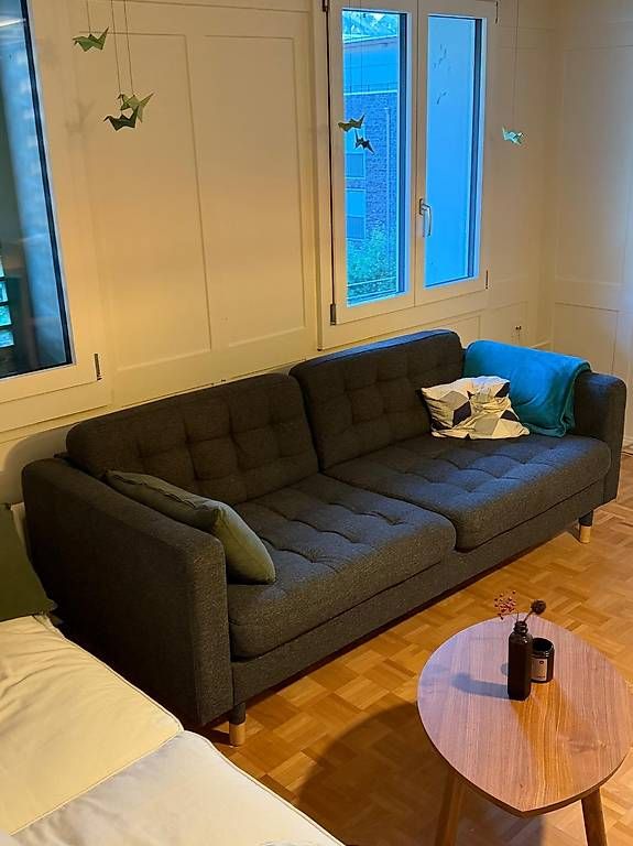 Sofas: 2-Sitzer Sofa – Gebraucht aus Schwyz von Fabian2004k 2