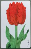 Taxcard - Tulpe - D
