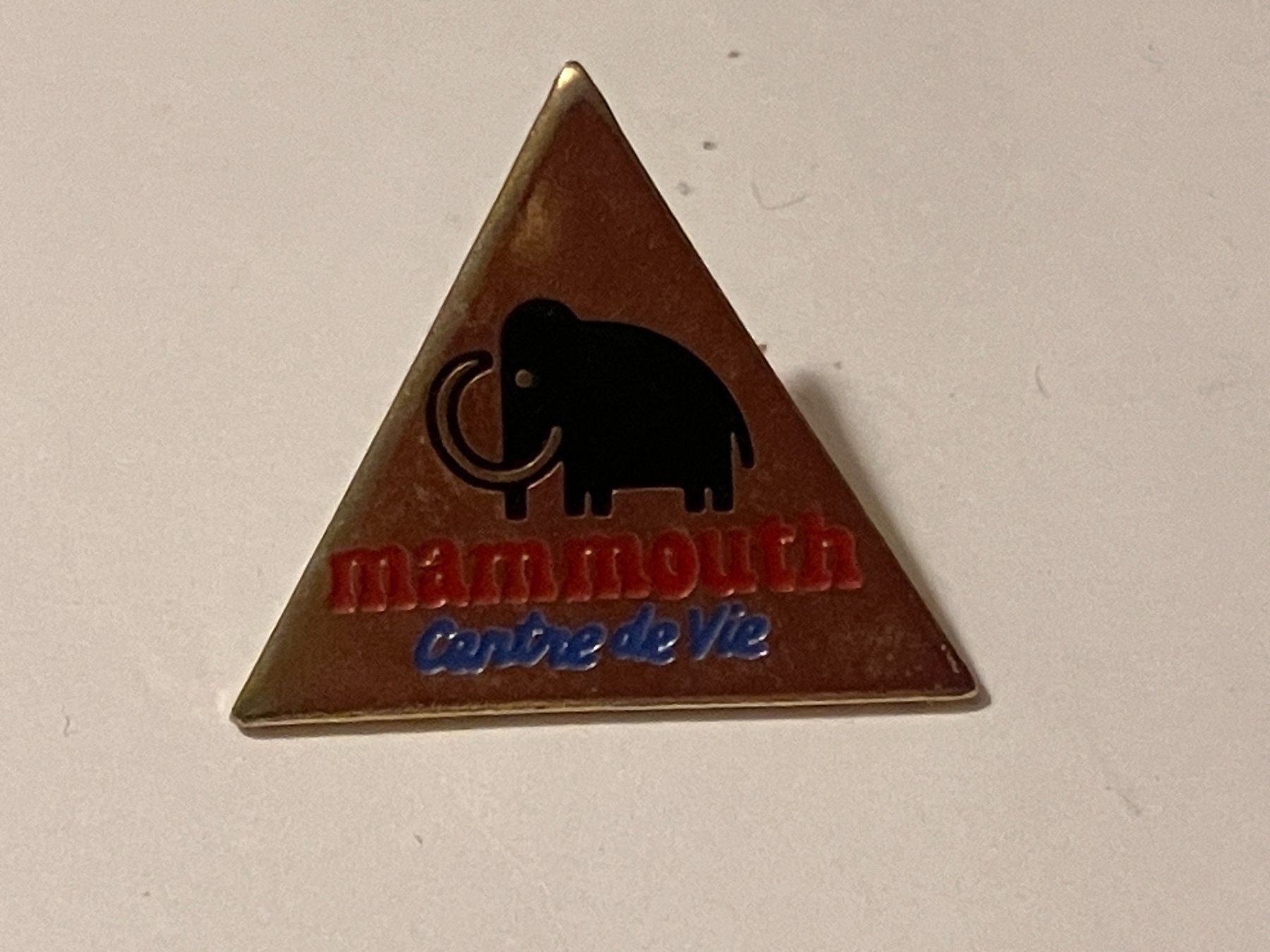 Placchette & Badge: 1 Pin Mammouth Centre de Vie – Usato da Basel venduto da djwwpp