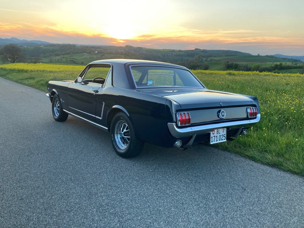 Fabelhafte Ford Mustang Gebraucht Kaufen Bilder