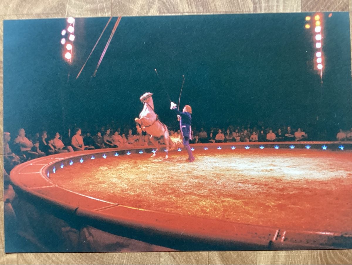 Foto & Immagini: Circus Knie Foto 1995 – Usato da Reichenbach i. K. venduto da astra2010