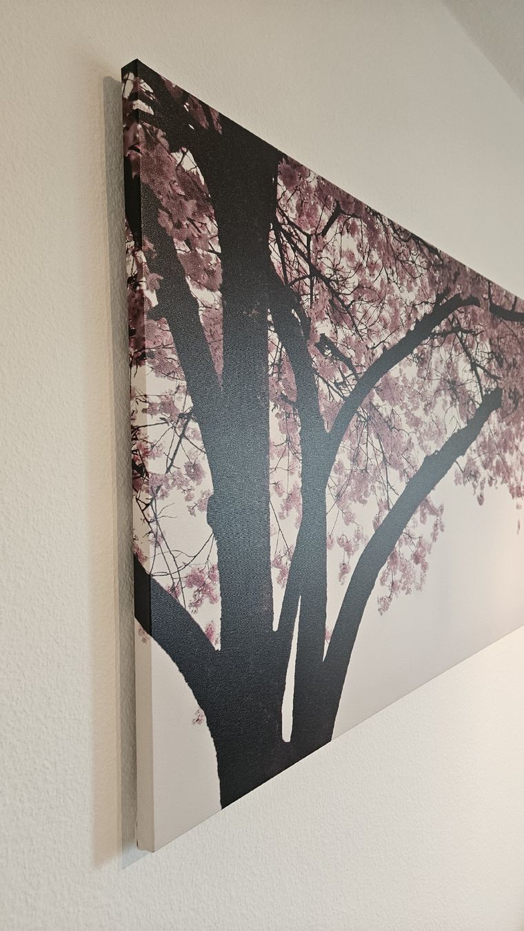 Poster & Bilder: Wandbild Kirschblütenbaum – Gebraucht aus Emmenbrücke von L_W 1