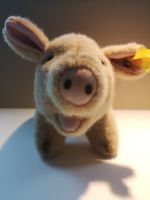 Steiff Schwein