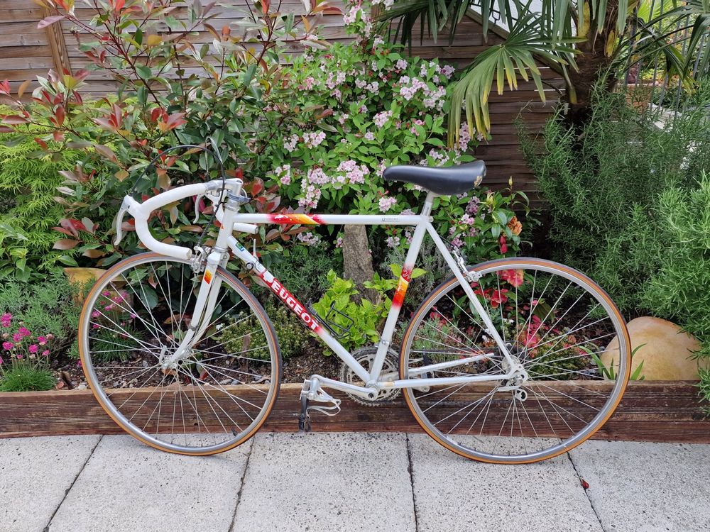 Peugeot Rennrad Neu