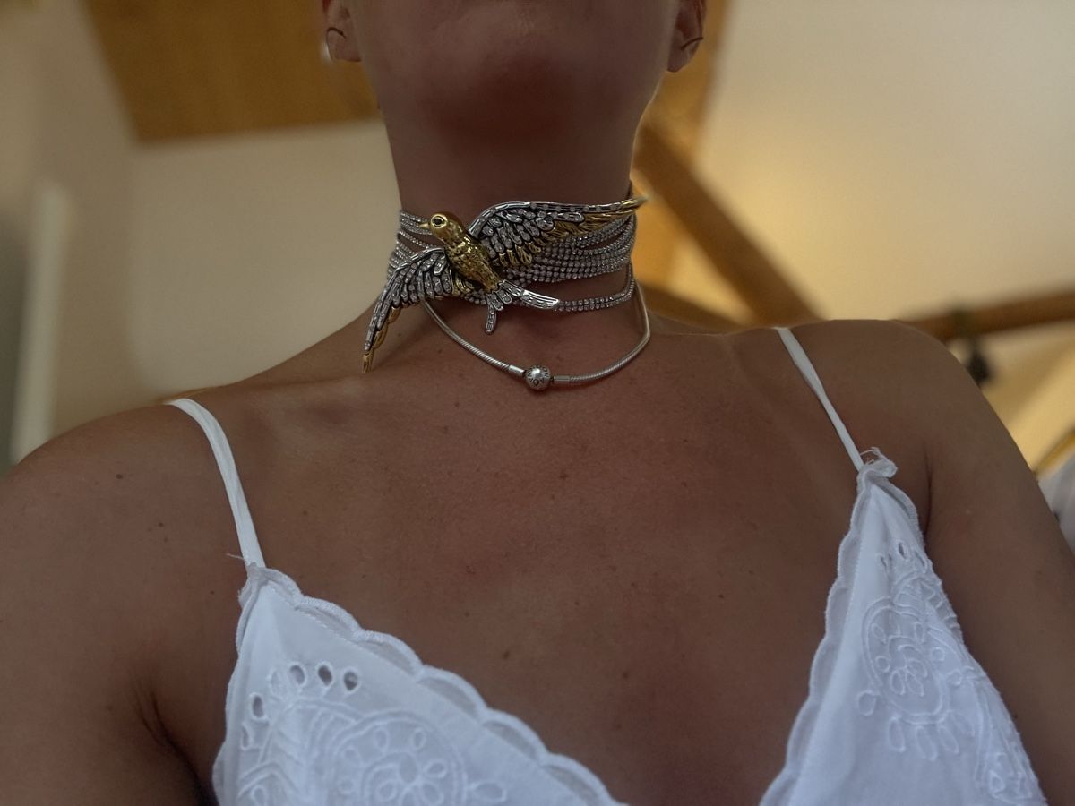 Catenine: Halskette Vogel – Usato da Dotzigen venduto da White_Warrior 2