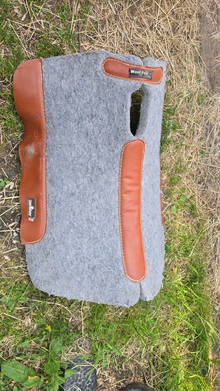 Selle & Accessori: Tapis feutre western USA – Usato da Attalens venduto da Lau4
