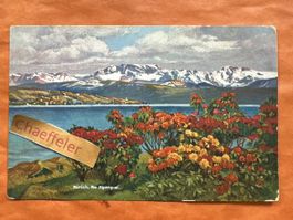 Vintage Postkarte Zuerich Alpenquai, selten!