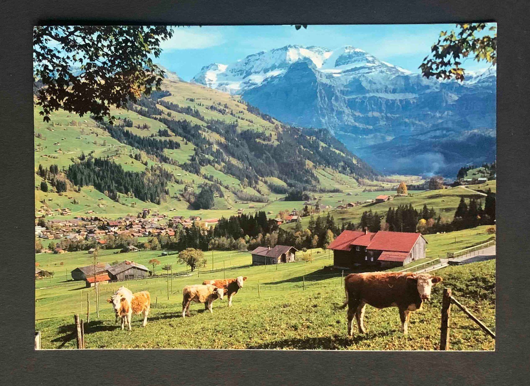 Cartoline postali: AK Lenk BO Wildstrube – Usato da Goldau venduto da artelier1