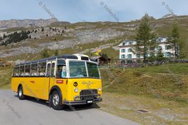 Postauto Postkarte FBW C40U Haifisch                  BTM081