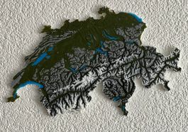 Carte topographique relief Suisse 3D decoration murale
