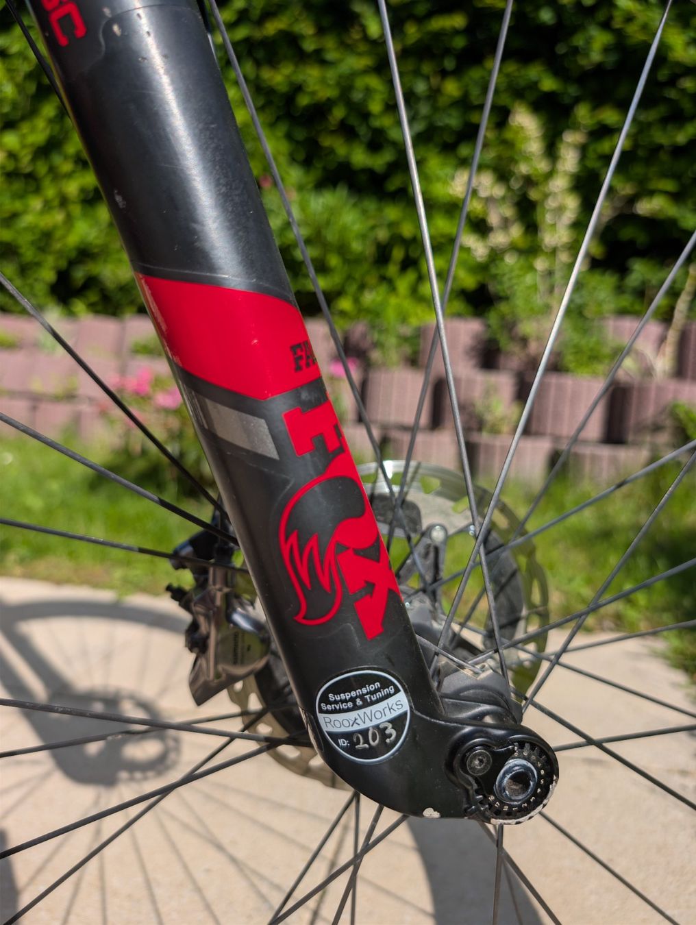 Focus Velos: VTT Carbone Focus O1E 9.9 - Taille M - Full Kashima – Gebraucht aus Echallens von yan_fn8q 2
