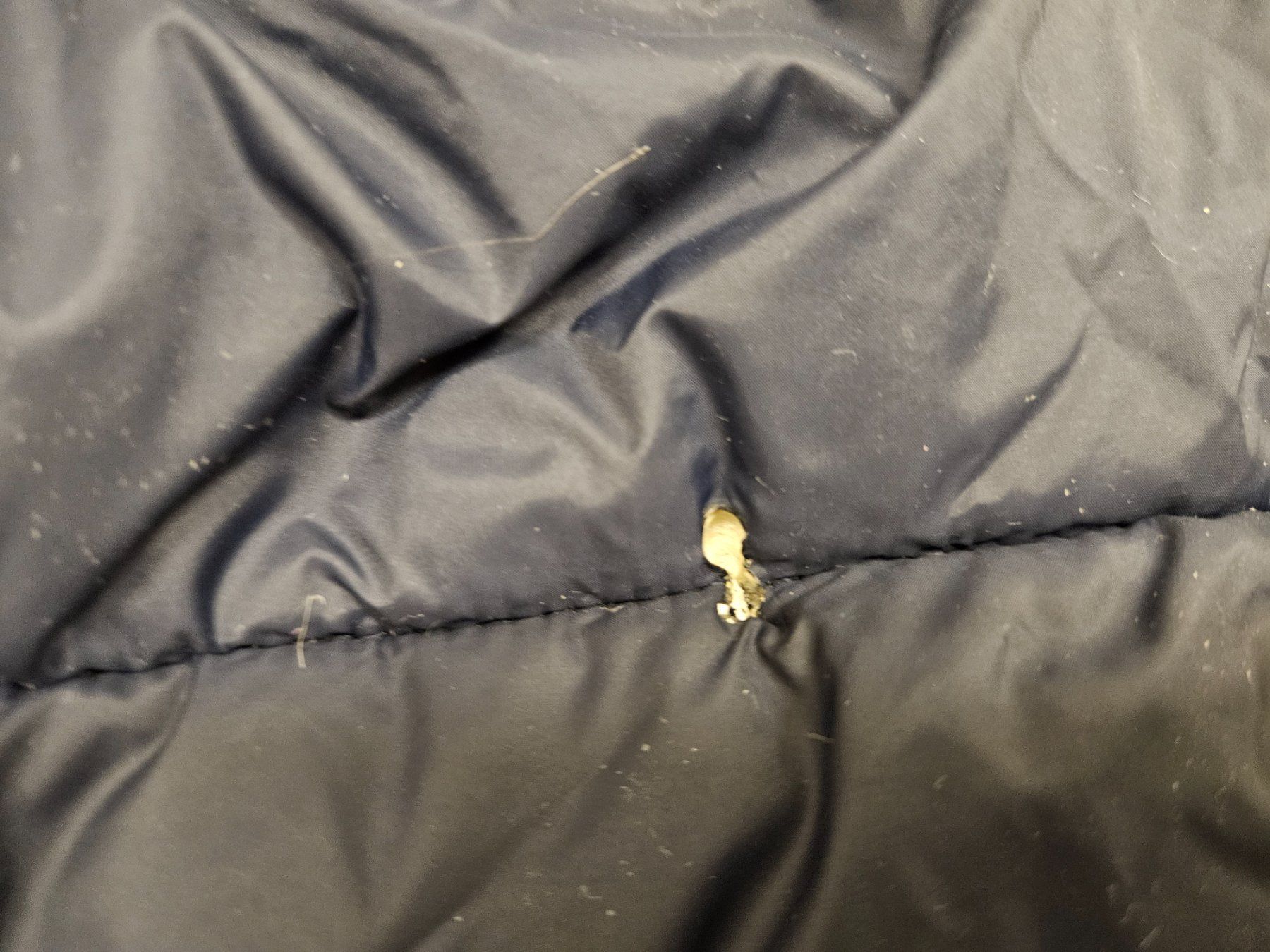 Esprit Giacche & Cappotti: Warme Winterjacke Esprit Gr. 104/110 – Difettoso da Herrliberg venduto da Jummi 6