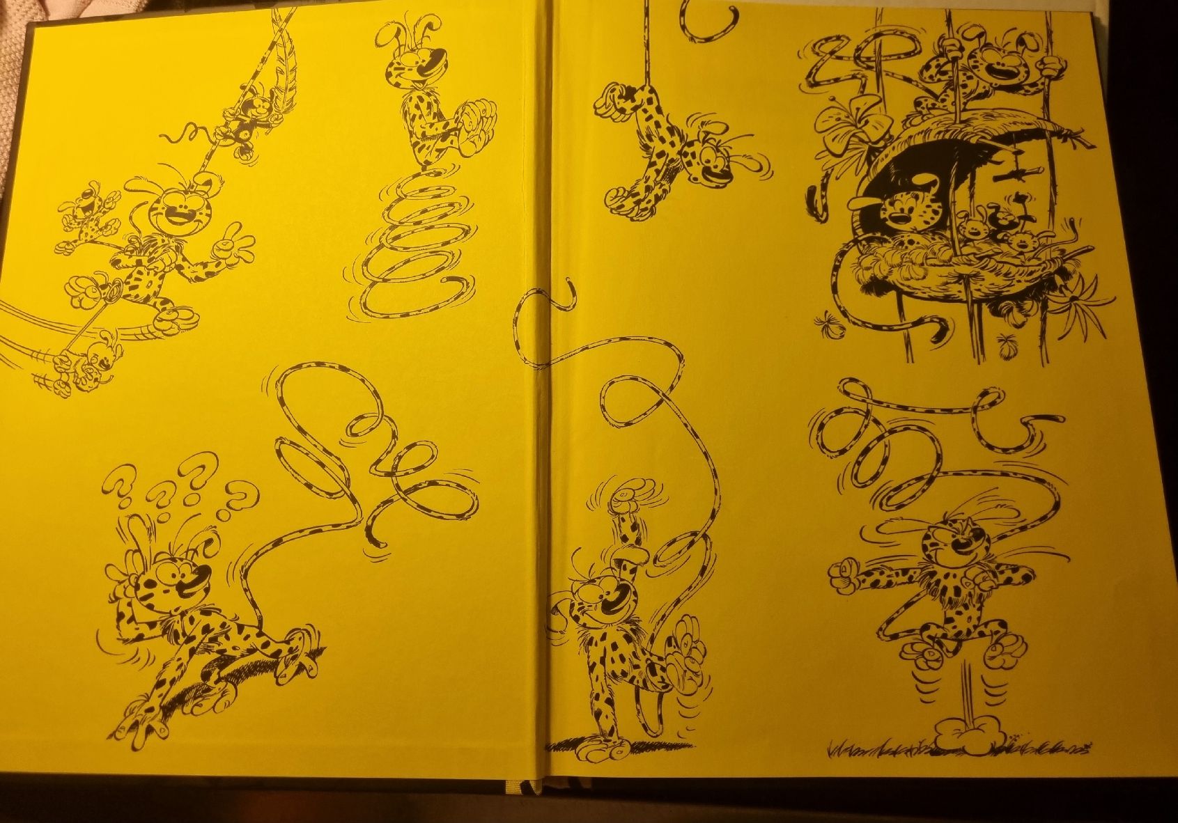 Fumetti: Marsupilami: La Queue du Marsupilami – Usato da Fribourg venduto da sal_5ln6 3
