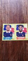 Panini Fussball Weltmeisterschaft WM 2026 Frankreich 