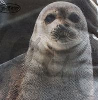 Serviette saddleback seal (1293) 2Stk.