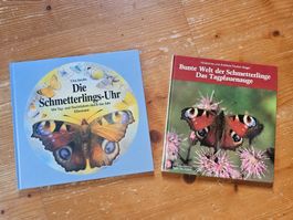 2 ganz tolle Schmetterlings Sachbücher, Kindergarten, Schule