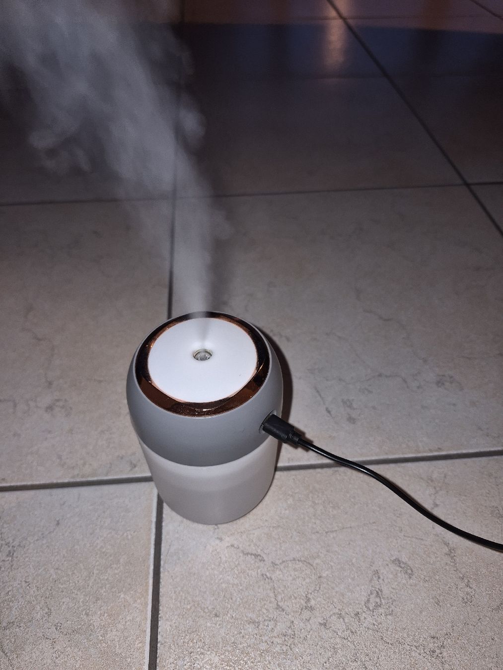 Umidificatori d'aria: mini LED Luftbefeuchter mit Wasserfilter – Usato da Istighofen venduto da kla_2k5b 3
