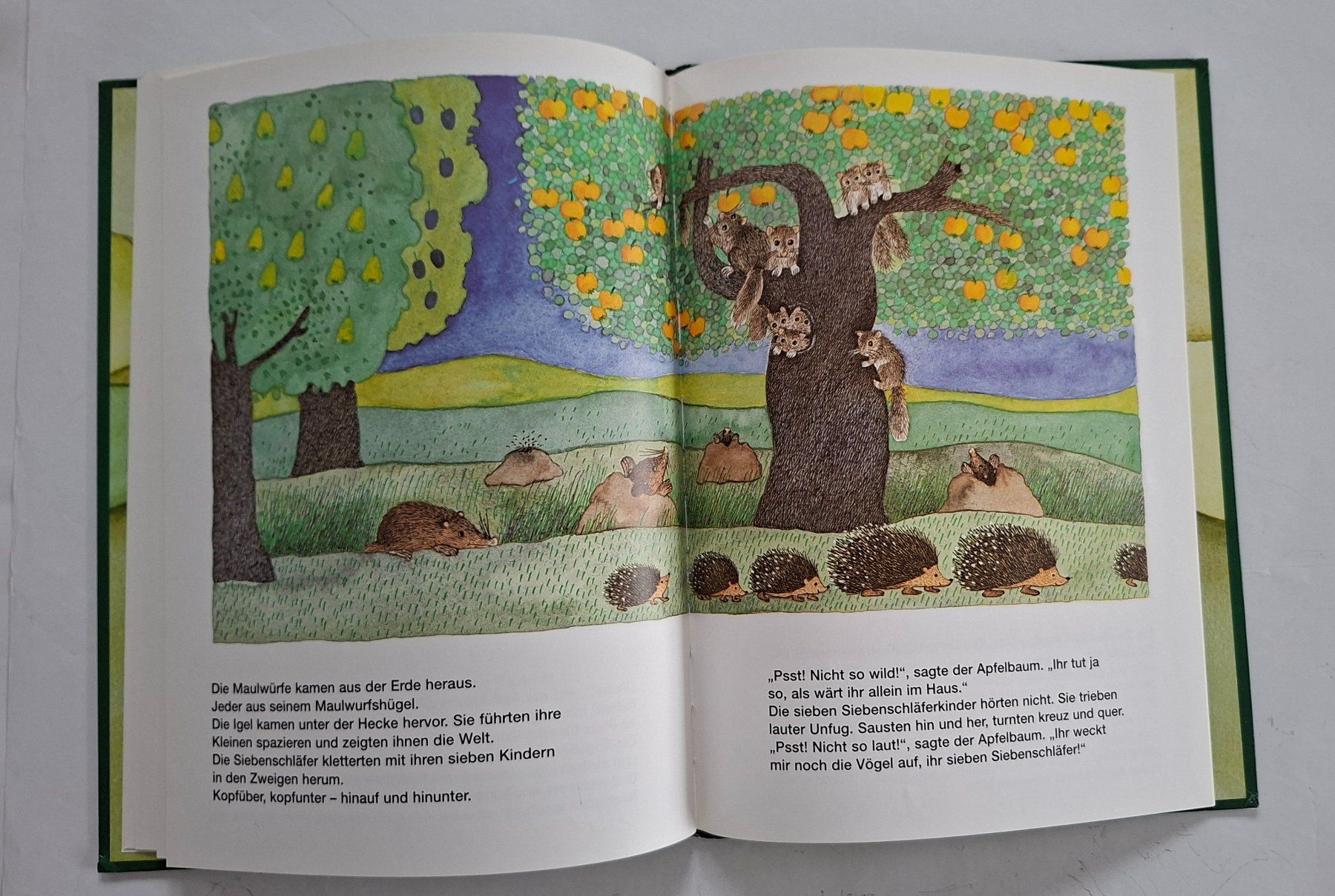 Libri: Der Apfelbaum - Kinderbuch von Mira Lobe – Usato da Opfikon venduto da Diversamente 5