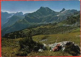BRAUNWALD