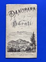 Panorama vom Hörnli, Zürich Albert Bosshard 1896 mit Ansicht