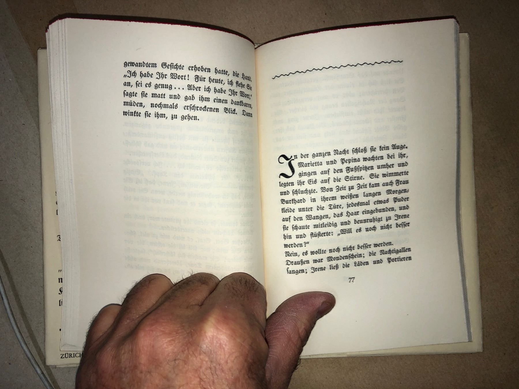Libri: Gertrud Niederer: Palmiro. Erzählung. – Usato da Zürich venduto da allp 6