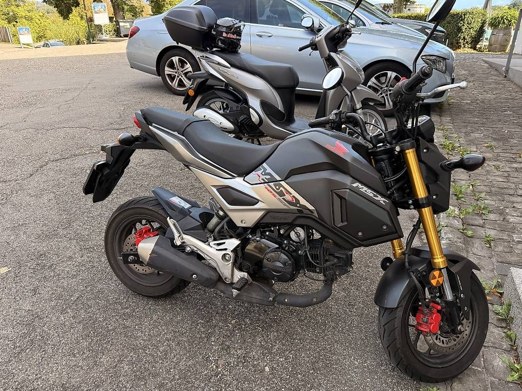 Route: Honda MSX 125  – D'occasion à Saland par afo_kp9f 2
