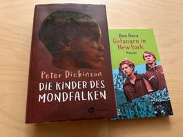 2 Jugendbücher "Die Kinder des Mondfalken" gebraucht