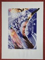 Onorio Mansutti,samba brasil,collage