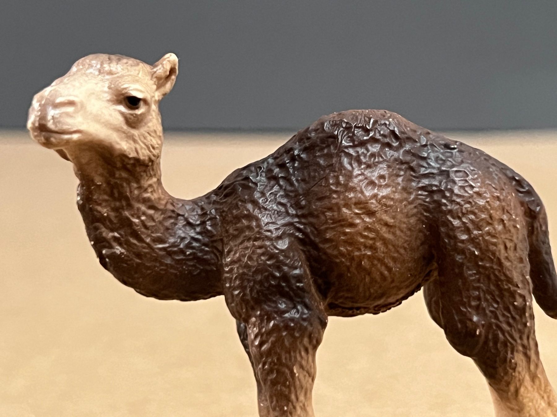 Schleich Sonstiges Spielzeug & Basteln: Schleich Dromedar Stute und Fohlen Kamel – Gebraucht aus Ennetbaden von  2