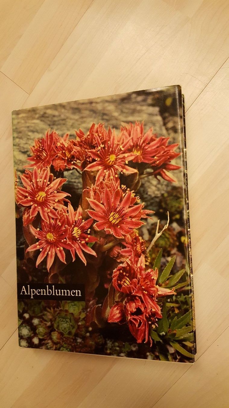 Libri: Alpenblumen Buch – Usato da Schönengrund venduto da Liane63
