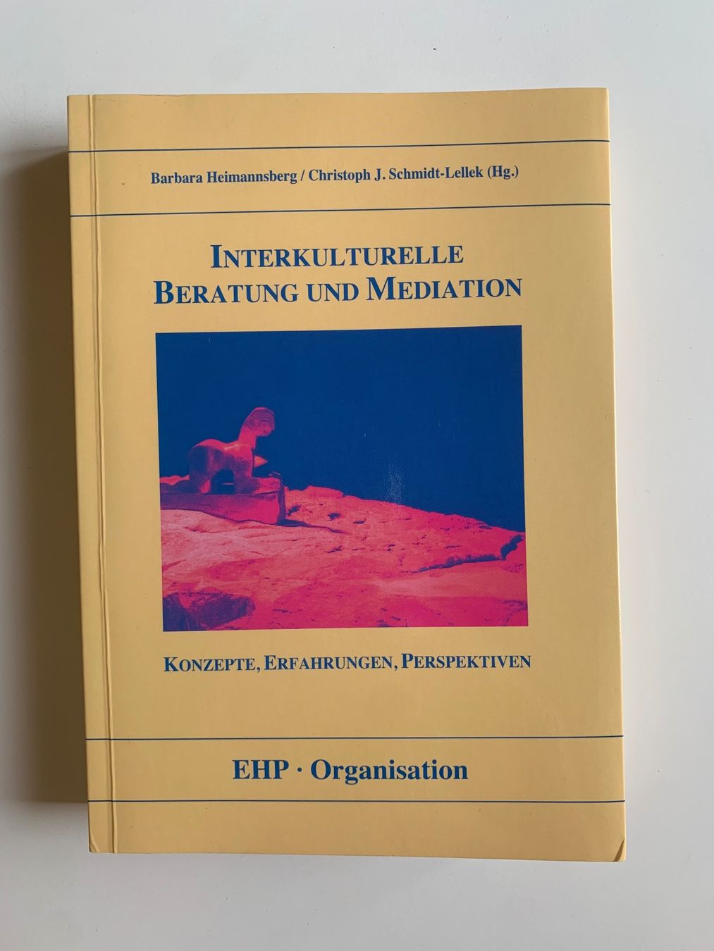 Libri: Buch "Interkulturelle Beratung und Mediation" – Usato da Zürich venduto da Leonieonie.