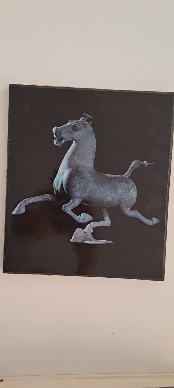 Libri: 11x Bücher China Kunst Kultur – Usato da Zürich venduto da Michel1896 7