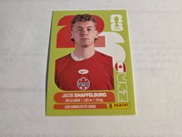 Panini  2026 JACOB SHAFFLBURG CAN 14