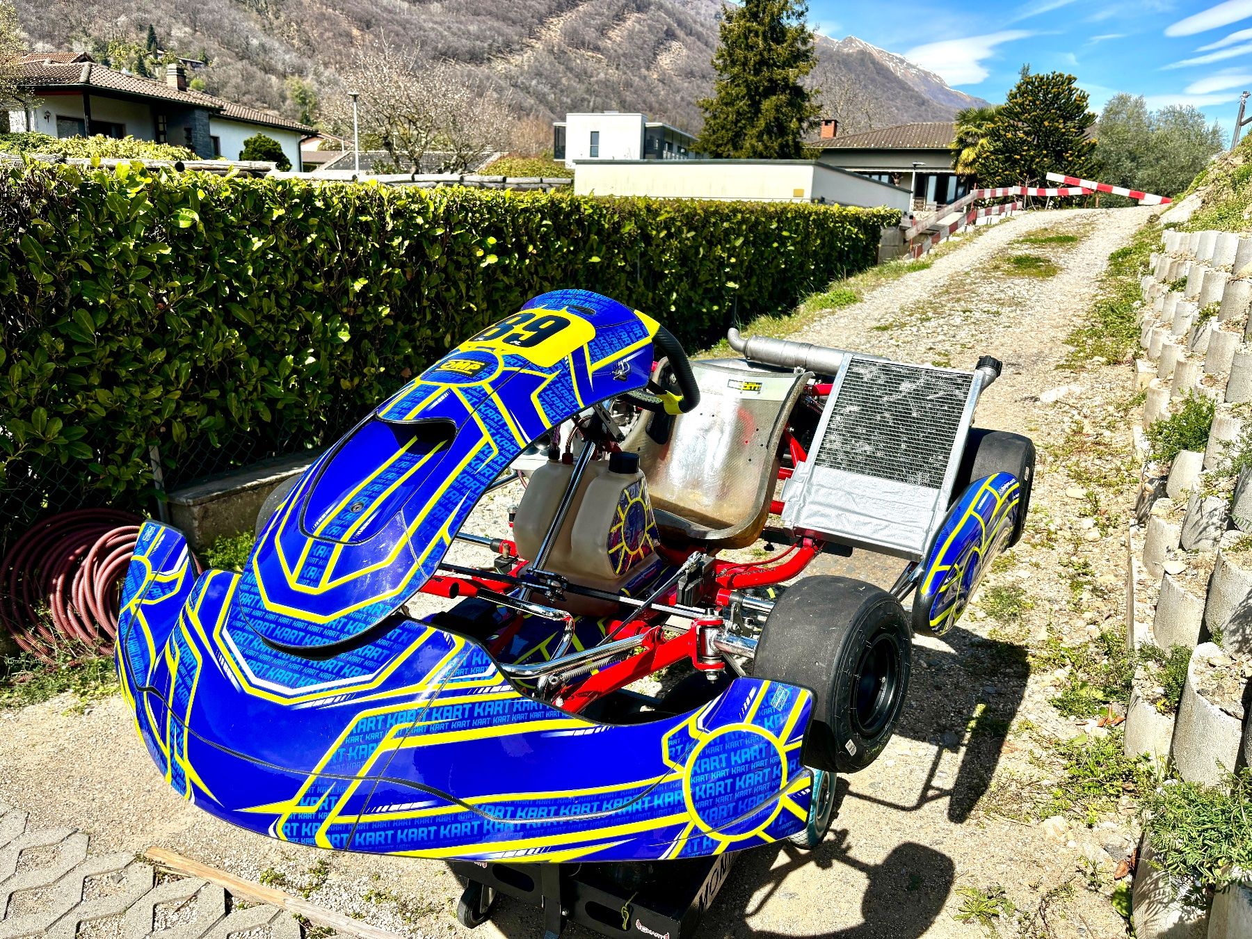 Karts: Kart 125 DR mit Iame X30 – Gebraucht aus Gravesano von jonnykart 6