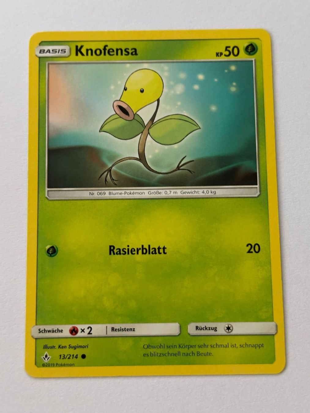Pokémon Carte collezionabili: Pokemon-Karte Knofensa 13/214 – Usato da Herisau venduto da Seyashop1