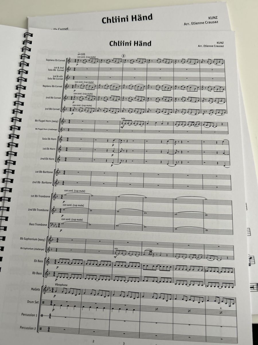 Libri: Brass Band Noten Chlini Händ – Nuovo (secondo la descrizione) da Galgenen venduto da Red27 1