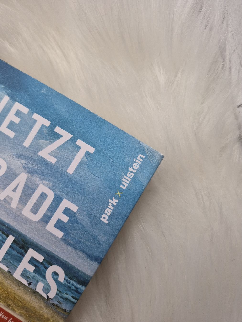 Livres: Buch Stephan Schäfer Jetzt gerade ist alles gut. – D'occasion à Altdorf SH par MR2509 3