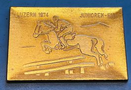 JUNIOREN-EM LUZERN 1974  Reitsport