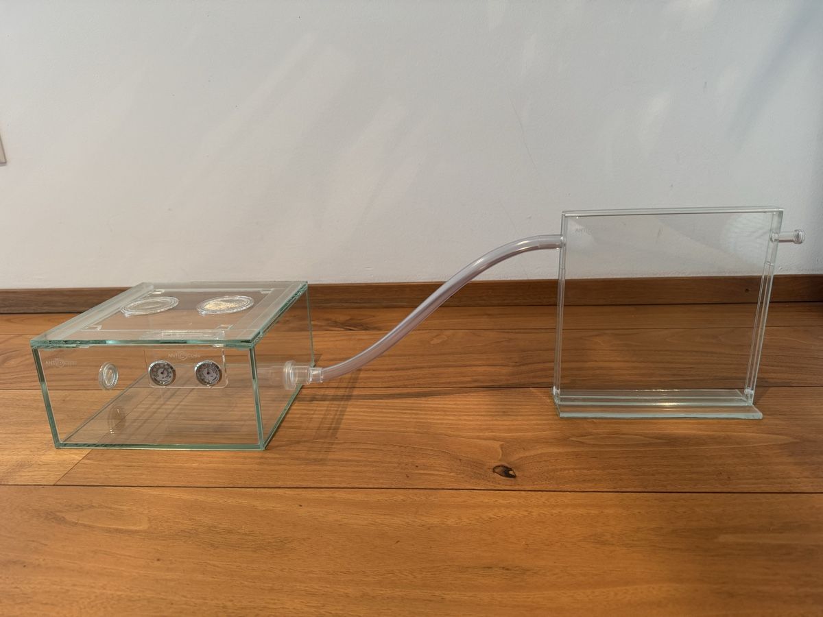 Terrarium: ANTCUBE Starter Set 20x20 - Wiese – Gebraucht aus Engelburg von Cyan_ 2