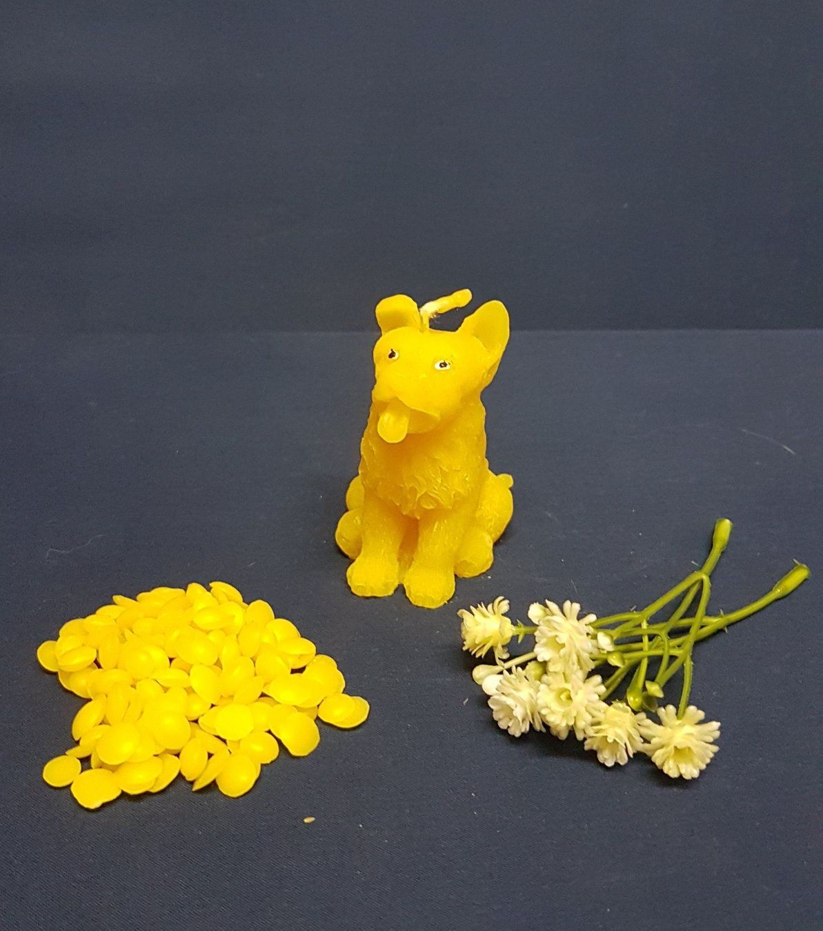 Candele: Bienenwachskerze, Hund – Nuovo (secondo la descrizione) da Jegenstorf venduto da pluesch94