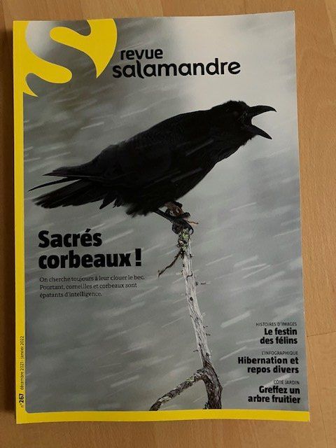 Zeitschriften & Magazine: Revue La Salamandre - les corbeaux – Gebraucht aus Les Ponts-de-Martel von Jolisa