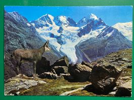 Fuorcia Surlej - Piz Bernina - Roseg