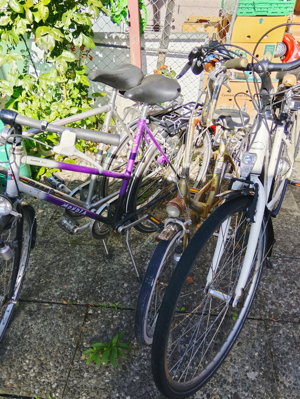 Velos: Fahrräder  (mehr als 30 velos) – Defekt aus Luzern von val_9ngc 3