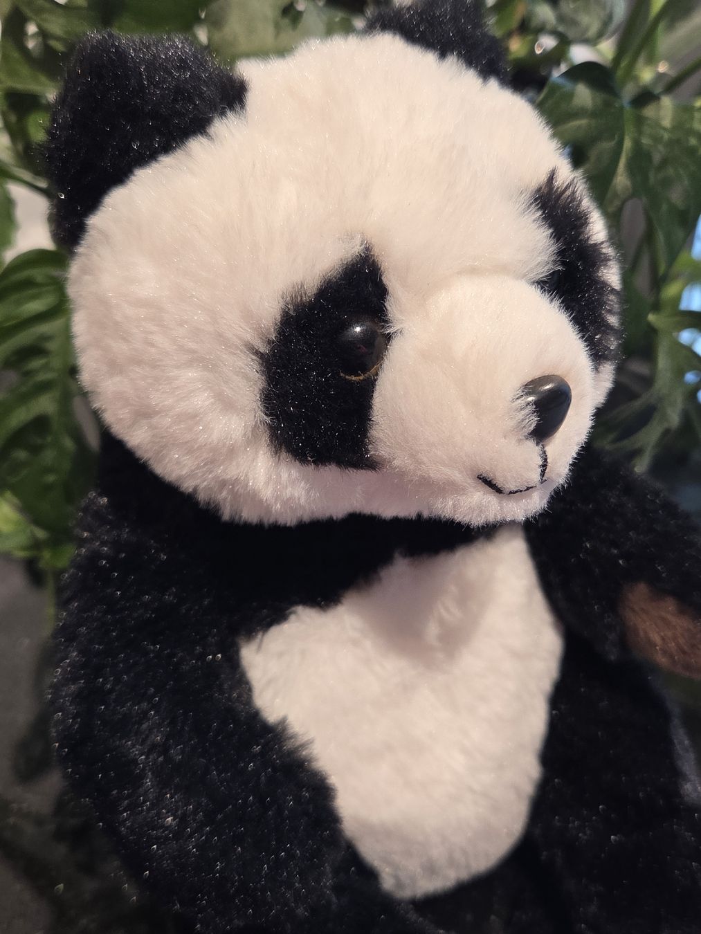 WWF Giocattoli: Panda, Bär, Plüschtier 23 cm  hoch – Usato da Frauenfeld venduto da Schenken-mit-Herz 5