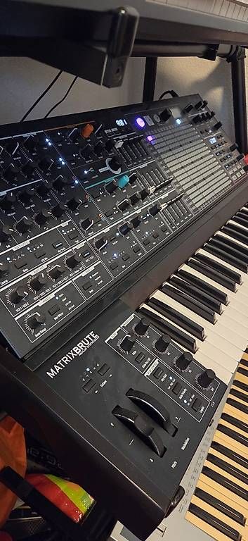 Strumenti musicali: Analog Synthesizer MatrixBrute - Excellent condition – Usato da Kloten venduto da kyl_n27k 2