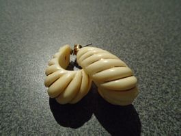 Ohrstecker Muschel, eierschalenweiss/goldfarbig