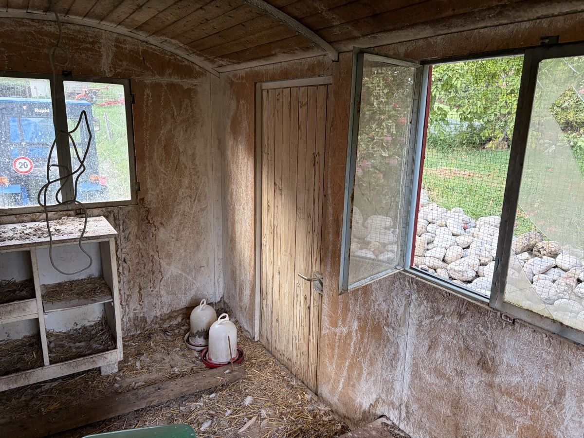 Remorques: Baustellenwagen/ Hühnerstall / Tiny Hous – D'occasion à Günsberg par higa4524 4