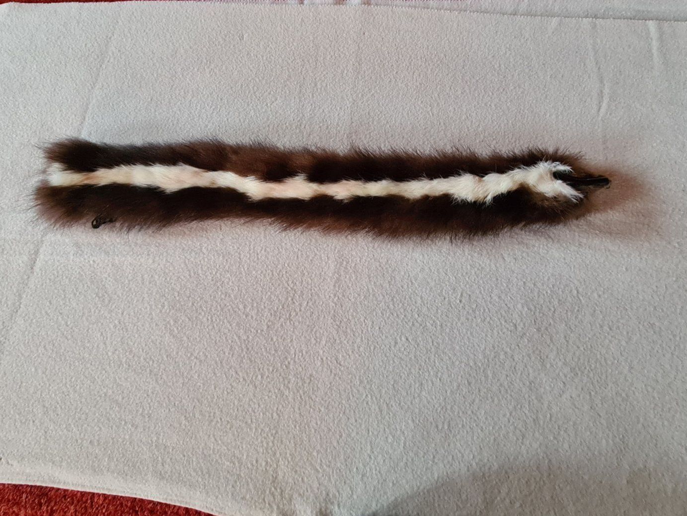 Foulard & Sciarpe: Fellkragen – Usato da riffenmatt venduto da smilla09 1
