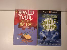 Englisches Bücherpaket für Erstleser